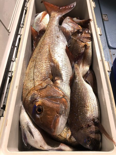 第二八坂丸 釣果