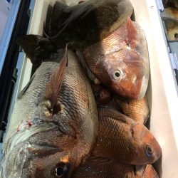 第二八坂丸 釣果