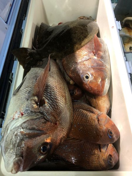 第二八坂丸 釣果