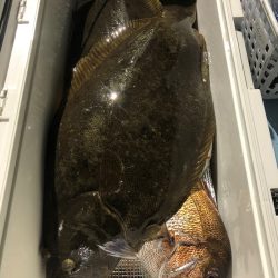 第二八坂丸 釣果