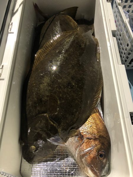 第二八坂丸 釣果