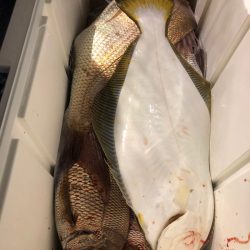 第二八坂丸 釣果