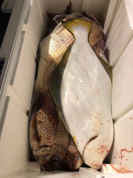 第二八坂丸 釣果