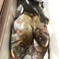 第二八坂丸 釣果