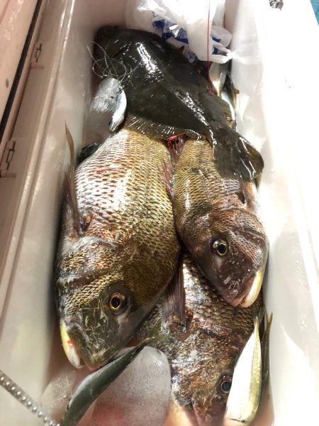 第二八坂丸 釣果