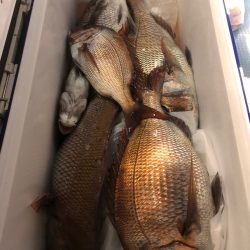 第二八坂丸 釣果