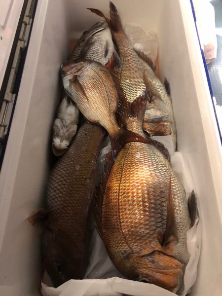 第二八坂丸 釣果