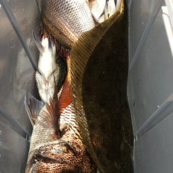 第二八坂丸 釣果