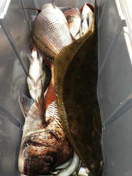 第二八坂丸 釣果