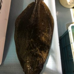 第二八坂丸 釣果