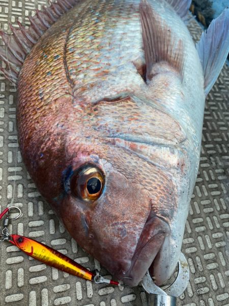 龍神丸(鹿児島) 釣果