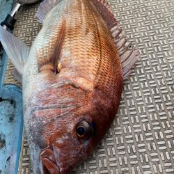 龍神丸(鹿児島) 釣果