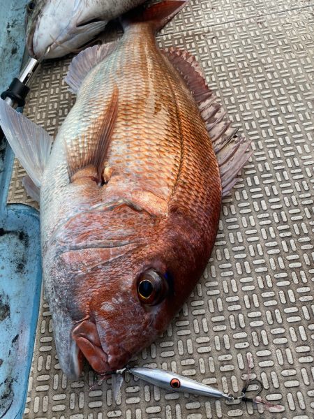 龍神丸(鹿児島) 釣果