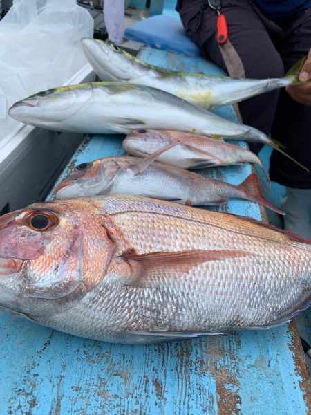 みやけ丸 釣果