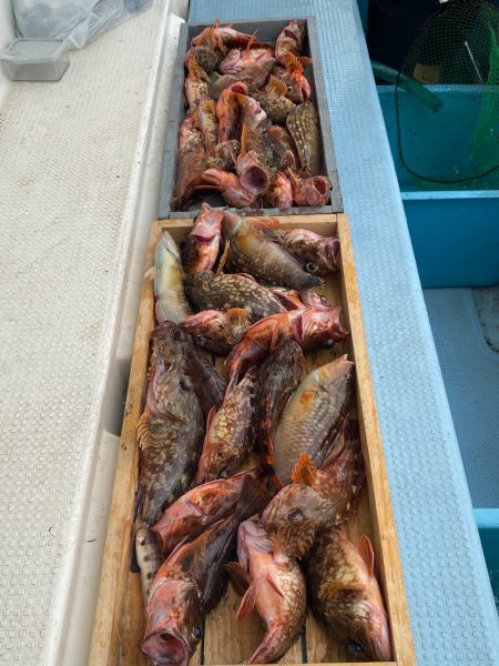 岡田釣船　八英丸 釣果