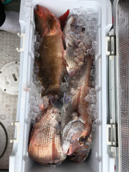 フィッシング　キッタカ 釣果