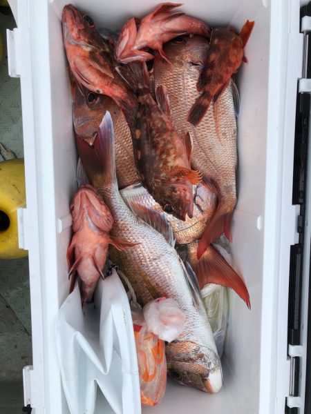 フィッシング　キッタカ 釣果