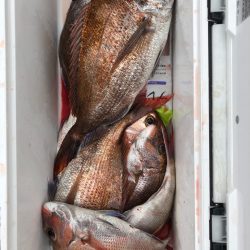 フィッシング　キッタカ 釣果