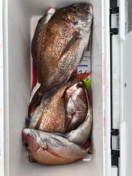 フィッシング　キッタカ 釣果