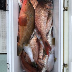 フィッシング　キッタカ 釣果