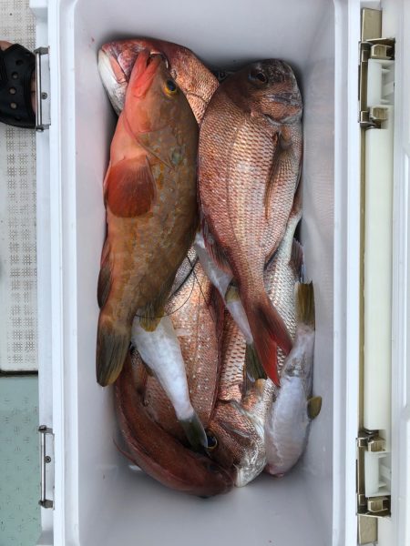 フィッシング　キッタカ 釣果