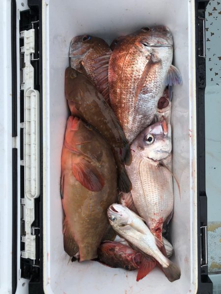 フィッシング　キッタカ 釣果