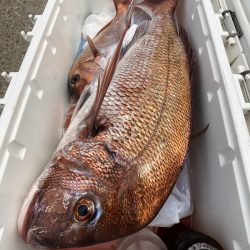 第二八坂丸 釣果