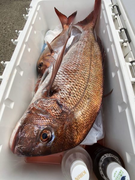 第二八坂丸 釣果