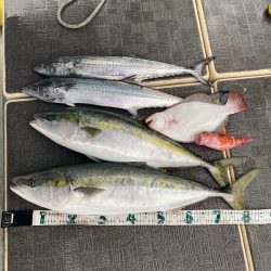 Monster Rush! 釣果