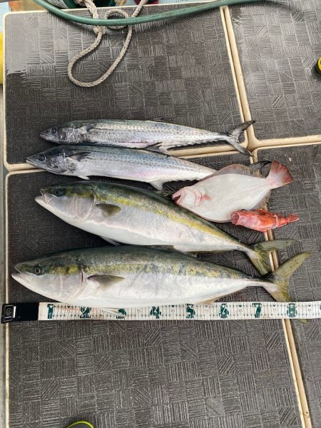 Monster Rush! 釣果