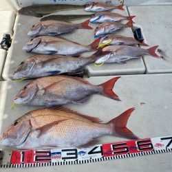 末広丸(熊本) 釣果