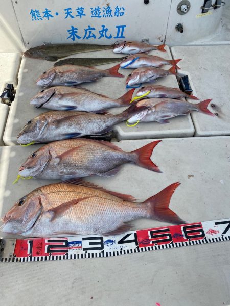 末広丸(熊本) 釣果