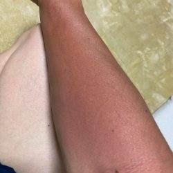 末広丸(熊本) 釣果