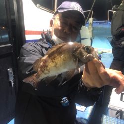 ヤザワ渡船 釣果