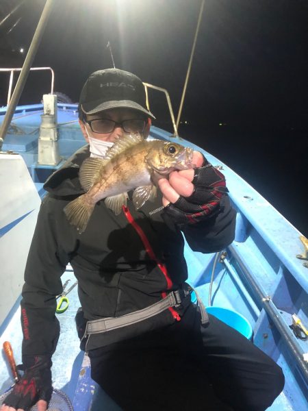 ヤザワ渡船 釣果