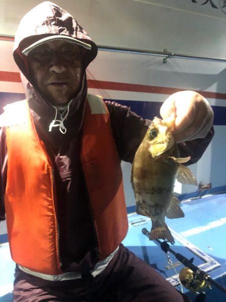 ヤザワ渡船 釣果