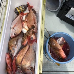 フィッシング キッタカ 釣果