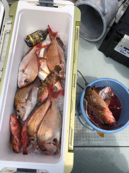 フィッシング キッタカ 釣果