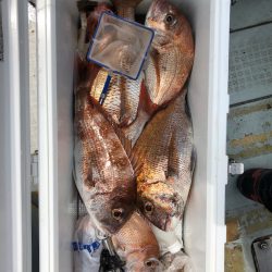 フィッシング キッタカ 釣果