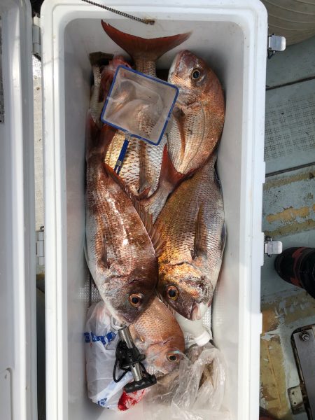 フィッシング キッタカ 釣果