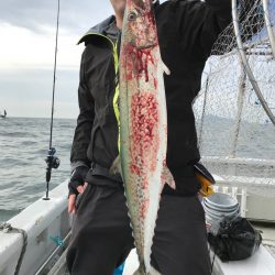 ランスルー 釣果