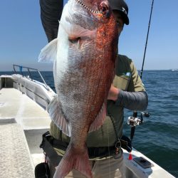 ランスルー 釣果