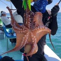 ヤザワ渡船 釣果
