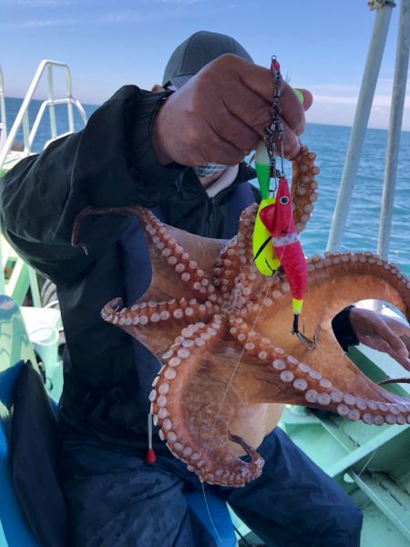 ヤザワ渡船 釣果