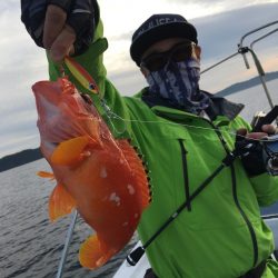 渡船屋たにぐち 釣果