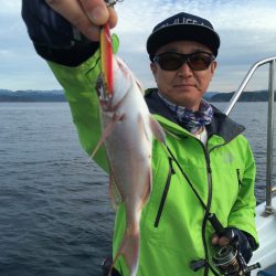 渡船屋たにぐち 釣果