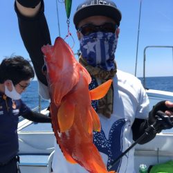 渡船屋たにぐち 釣果