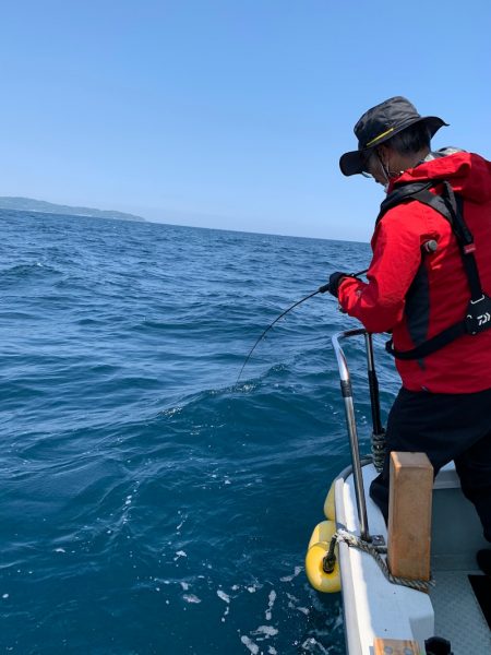さくら丸 釣果