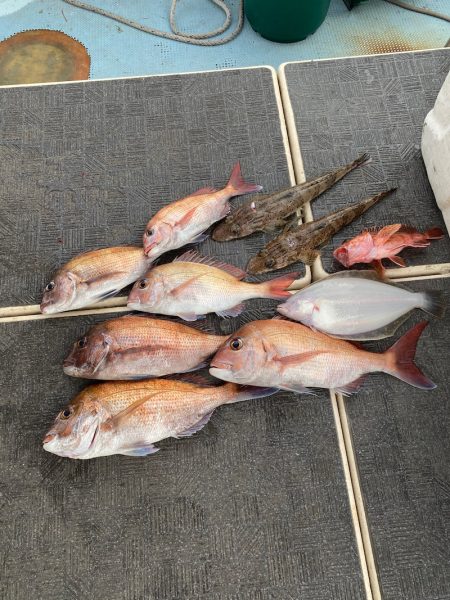 Monster Rush! 釣果