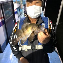 ヤザワ渡船 釣果